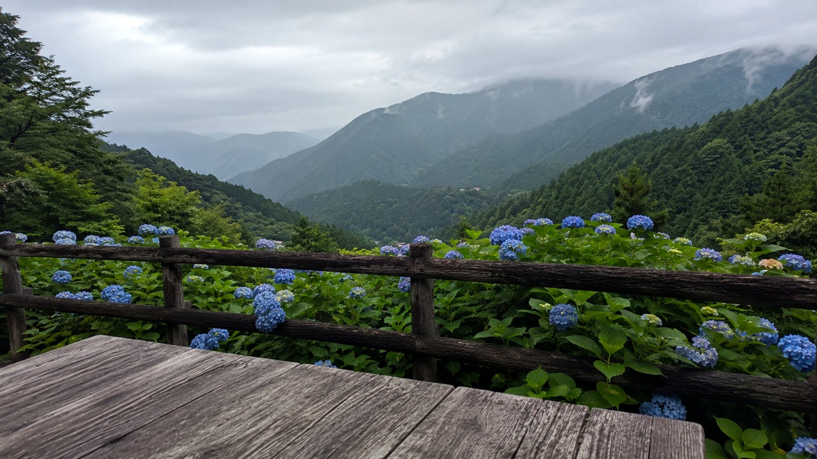テラス席からの山の眺め